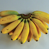 Foto: Banánovník ovocný
